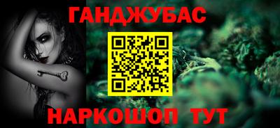 крисы Камышлов
