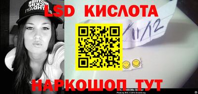 крисы Камышлов