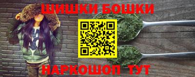крисы Камышлов