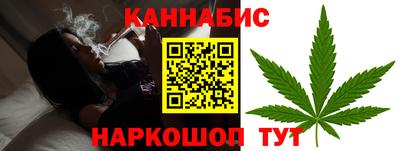 крисы Камышлов