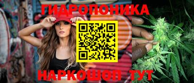 гашик Канаш