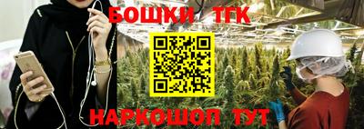 крисы Камышлов