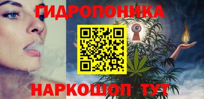 гашик Канаш