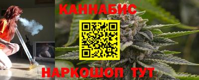 крисы Камышлов